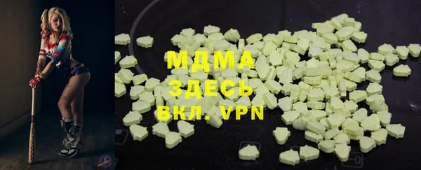 индика Нягань