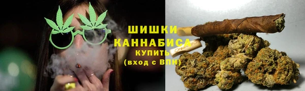 индика Нягань