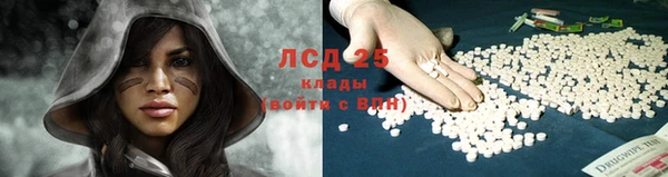 сатива Среднеколымск