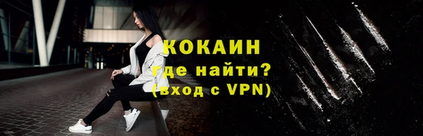 индика Нягань