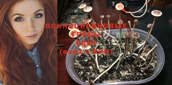 мяу мяу мука Няндома