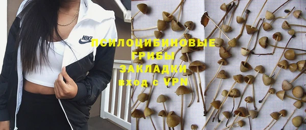 ALPHA-PVP Осинники