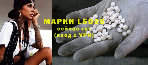 мяу мяу мука Няндома