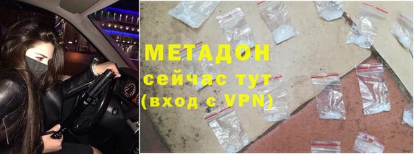 индика Нягань
