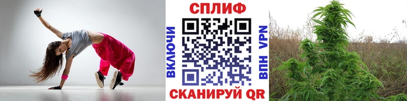 цена   Фёдоровский  Конопля тримм 